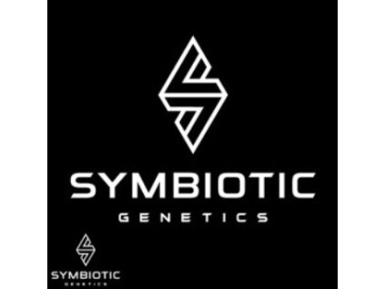 71001 symbiotic genetics ginger mints feminized