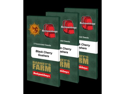 Barney´s Farm Black Cherry Gushers, feminized (Balení 5 ks)