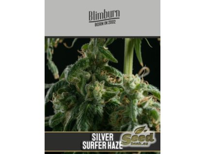 71133 blimburn seeds super surfer haze feminized vyprodej