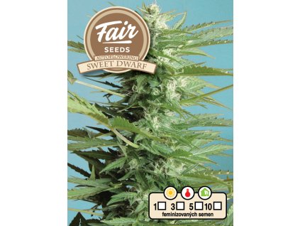 71373 fair seeds auto sweet dwarf feminized autoflowering vyprodej