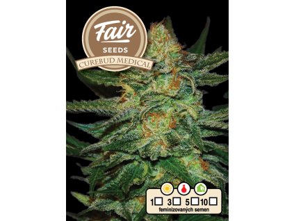 Fair Seeds Cure BuD Medical, feminized, VÝPRODEJ (Balení 5 ks)