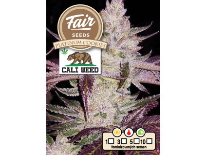 71511 fair seeds cali weed platinum cookies feminized vyprodej
