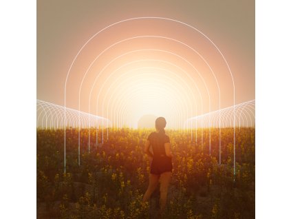 71931 ethos genetics early girls multipack feminized