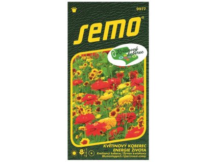 73494 smes letnicek energie zivota