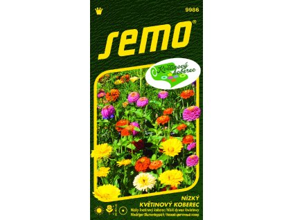 73497 nizky kvetinovy koberec lucni trpyt