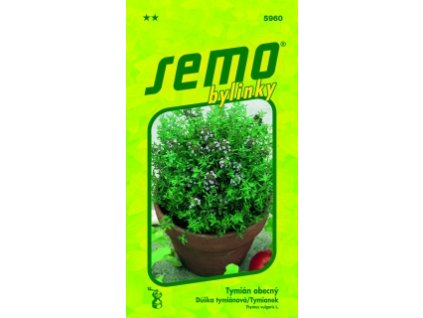 18508 gen vyr 31825960 tymian jpg