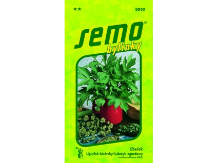 18520 vyr 28815930 libecek magnus