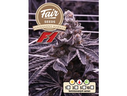 Fair Seeds Permanent Marker F1, feminized F1 (Balení 5 ks)