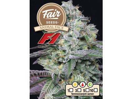 73695 fair seeds animal face feminized