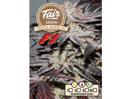 Fair Seeds Triple Alien OG F1, feminized F1 (Balení 3 ks)