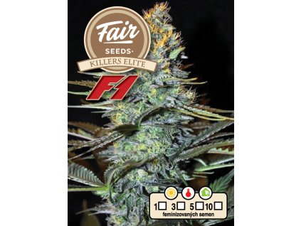 Fair Seeds Killers Elite F1, feminized F1 (Balení 1 ks)