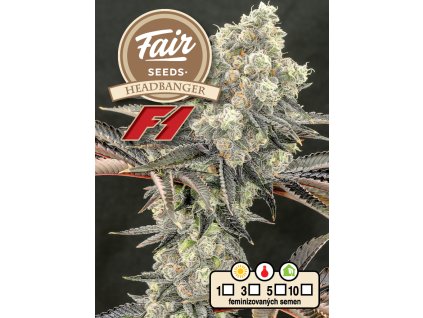 73728 fair seeds headbanger f1 feminized f1
