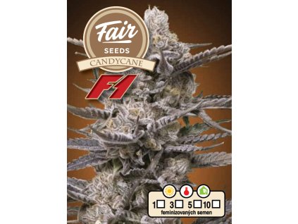 73755 fair seeds candycane f1 feminized f1