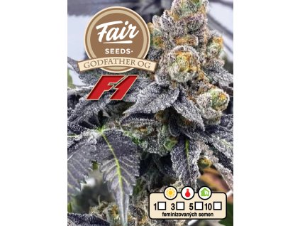 Fair Seeds Godfather OG F1, feminized F1 (Balení 5 ks)