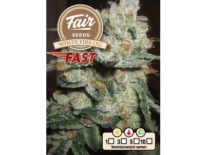 73851 fair seeds white fire og fast fastflowering feminized