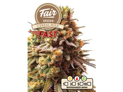 Fair Seeds Cereal Milk Fast, fastflowering feminized (Balení 10 ks)