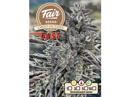Fair Seeds Oreo Octane Fast, fastflowering feminized (Balení 10 ks)