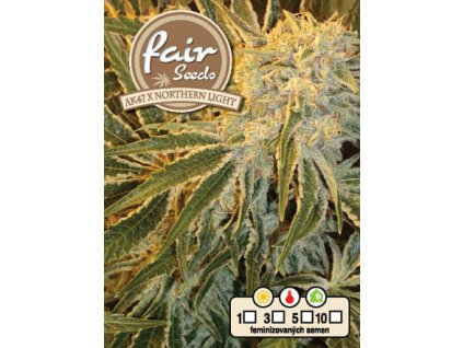fair seeds AK47xNORTHERN LIGHT 2020