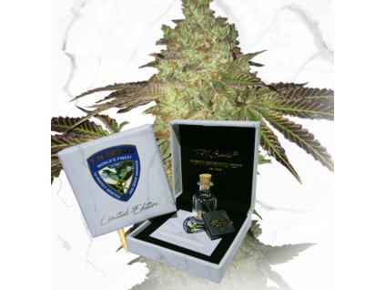 74433 t h seeds limited regulerni edition birthday cake x birthday cake regulerni