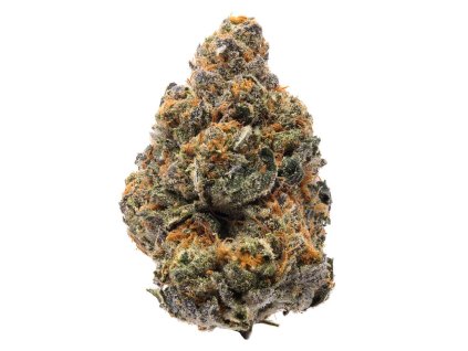 74760 humboldt seeds organization the new feminized