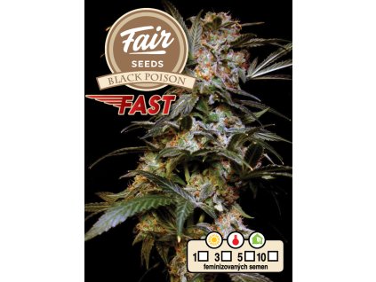 75129 fair seeds black poison fast feminized fast