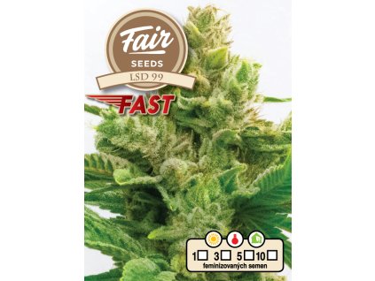 75132 fair seeds lsd 99 fast feminized fast