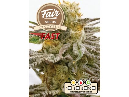 75135 fair seeds cindy blue fast feminized fast