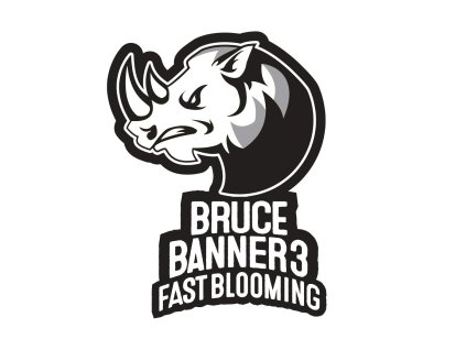 Blimburn Seeds Bruce Banner 3 Fast Blooming, feminized fast (Balení 3 ks)