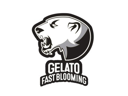 75306 blimburn seeds gelato fast blooming feminized fast