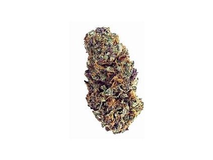 75717 dutch passion auto forbidden cherry feminized autoflowering