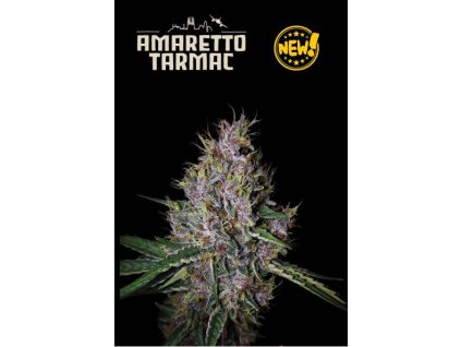 76035 seedstockers amaretto tarmac autoflowering feminized