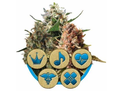 76524 royal queen seeds medical mix feminized