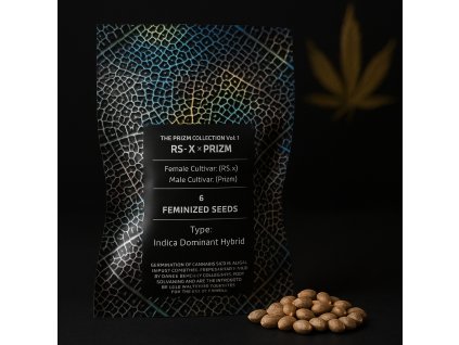 77262 maven genetics rs x x prizm feminized 6ks