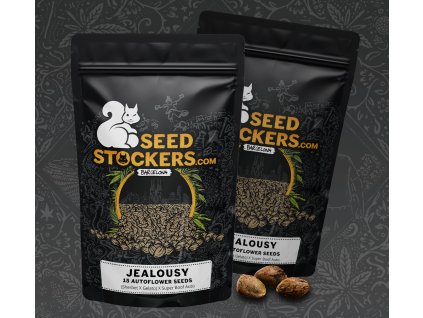 78171 seedstockers jealousy auto feminized autoflowering 15ks