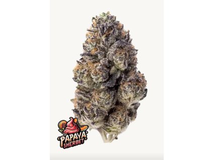 78216 fast buds papaya sherbet feminized
