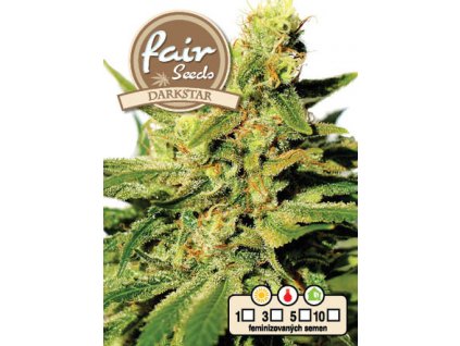 fair seeds DARKSTAR 2020