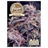 Fair Seeds Auto Blueberry, feminizovaná semena konopí, samonakvétací