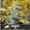 Blimburn Seeds Chemdog#4 feminizovaná (Balení 9 ks)