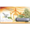 Buddha Seeds Medikit feminizovaná (Balení 5 ks)