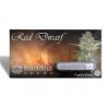 Buddha Seeds Red Dwarf feminizovaná autoflowering (Balení 5 ks)