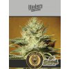 Blimburn Seeds Black Mamba CBD feminizovaná (Balení 9 ks)