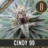 Blimburn Seeds Cindy 99 feminizovaná (Balení 9 ks)