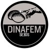 Dinafem Collector 5 Mix BF-D-IP, feminizovaná semena konopí