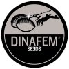 Dinafem Collector 8 Mix SCH-CL9-GF, feminizovaná semena konopí