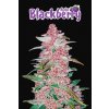55807 16 fast buds blackberry auto feminizovana semena konopi samonakvetaci