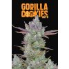 Fast Buds Gorilla Cookies Auto feminized autoflowering (Balení 5 ks)