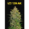 Fast Buds Lemon AK Auto feminizovaná autoflowering (Balení 5 ks)