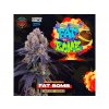 Perfect Tree Seeds, Fat Bomb, feminized, 6ks