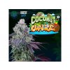 Perfect Tree Seeds, Coconut Chalice, feminized, 6ks