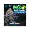 Perfect Tree Seeds, Coco Fresh, feminized, 6ks